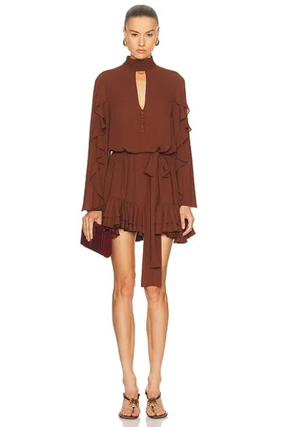 Alexis Giovanna Dress In Brown
