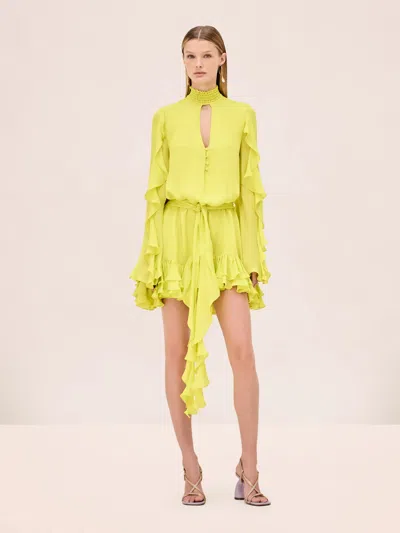 Alexis Giovanna Dress In Green