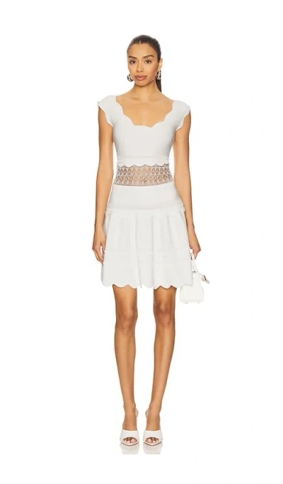 Alexis Hopper Dress