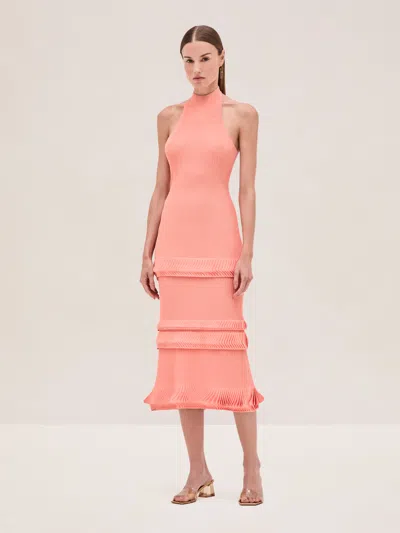 Alexis Ines Dress In Mandarin