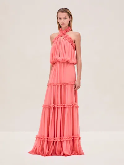 Alexis Izbelle Dress