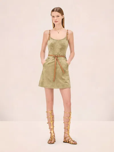 Alexis Kacen Dress In Green