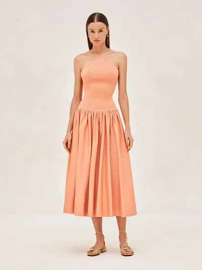Alexis Kamali Dress In Coral