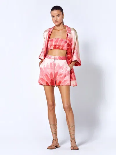Alexis Krystian Short In M