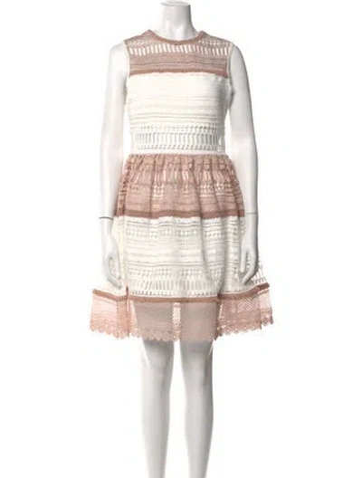 Pre-owned Alexis Lace Pattern Mini Dress In Neutrals/white