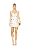 Alexis Larsen Dress In 白色