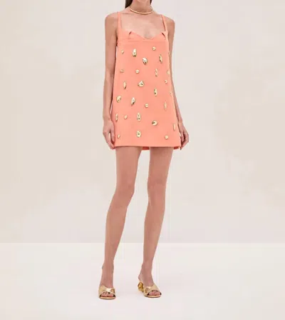 Alexis Larsen Dress In Tangerine In Orange