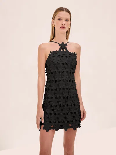 Alexis Lily Dress In Black