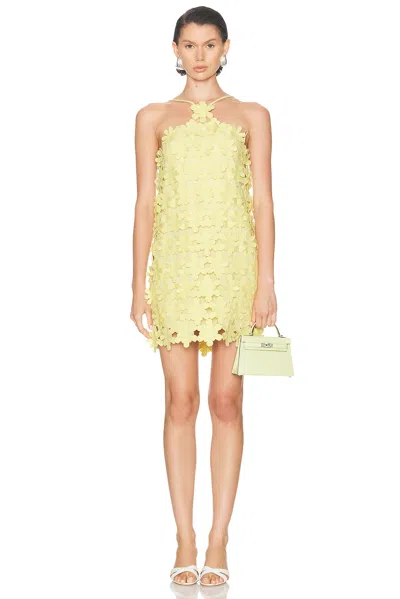 Alexis Lily Halter Mini Dress In Lemon In Yellow