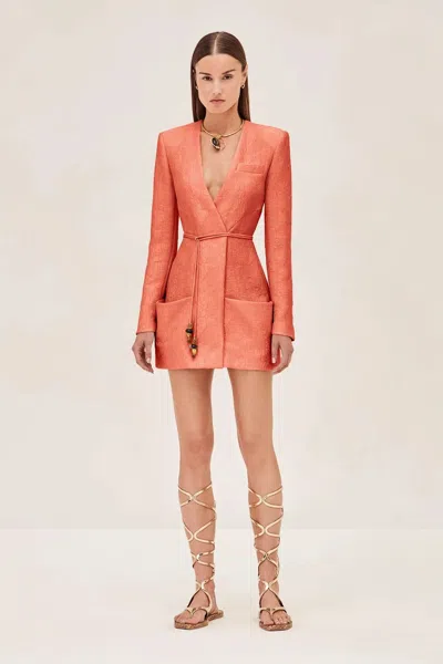 Alexis Long Sleeve Marsci Dress In Multi
