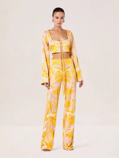 Alexis Mich Pant In Orange