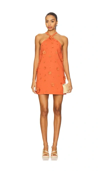 Alexis Milaa Dress In Orange