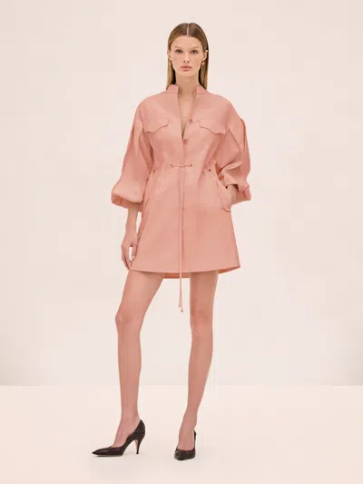 Alexis Miley Dress In Brown
