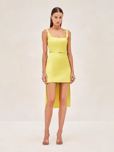 Alexis Montella Dress In Yellow
