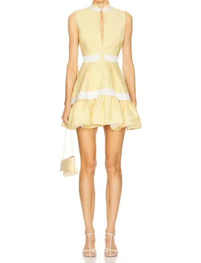 Alexis Natacha Mini Dress In Yellow Stripe In Multi