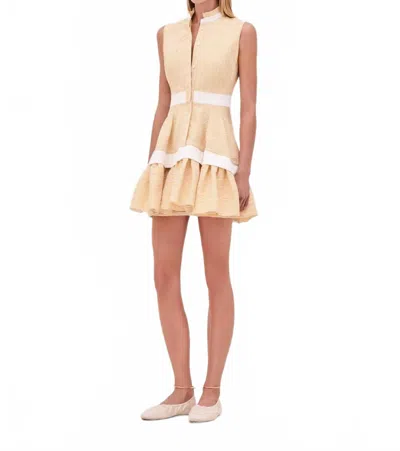 Alexis Natacha Mini Dress In Yellow Stripe In Multi