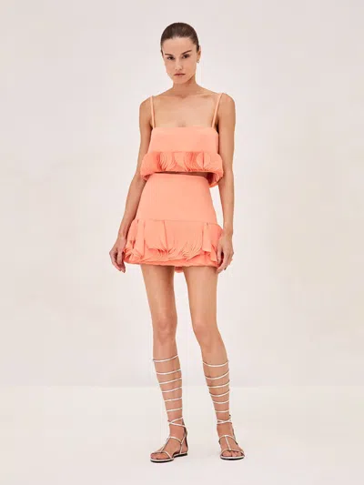 Alexis Natasha Skirt In Orange