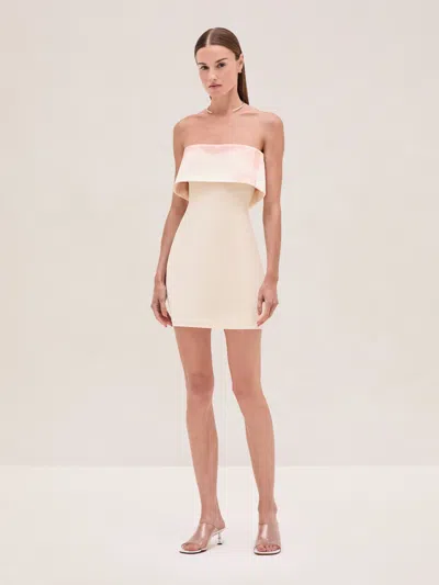 Alexis Nava Dress In Pink Brushstroke