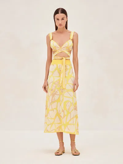 Alexis Noma Top In Yellow