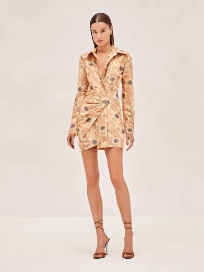 Alexis Nordeen Dress In Neutral