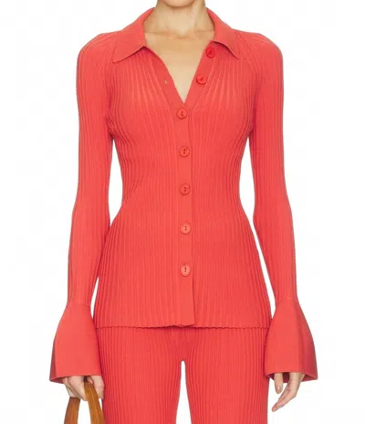 Alexis Olena Top In Terracotta In Pink