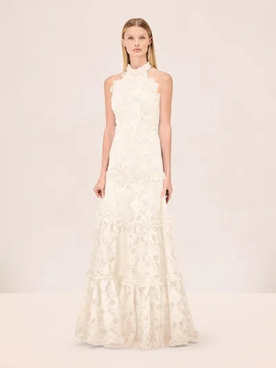 Alexis Paloma Dress In White