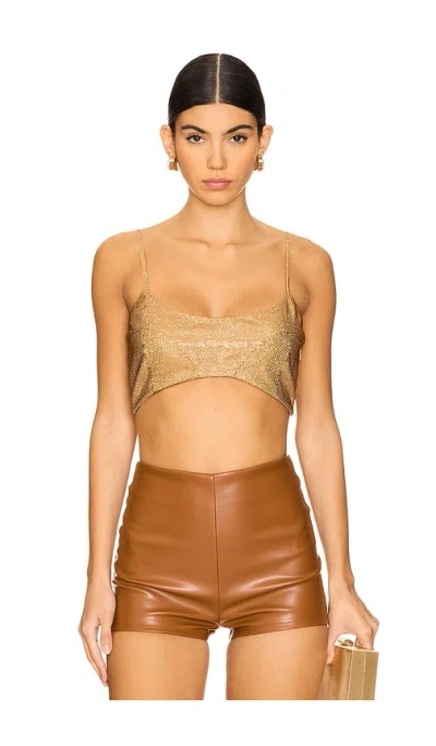 Alexis Polis Top In Gold Ombre