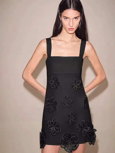 Alexis Provenza Dress In Black