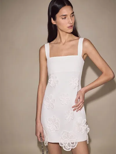 Alexis Provenza Dress In White