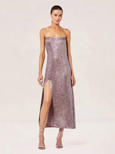 Alexis Raf Dress In Xl