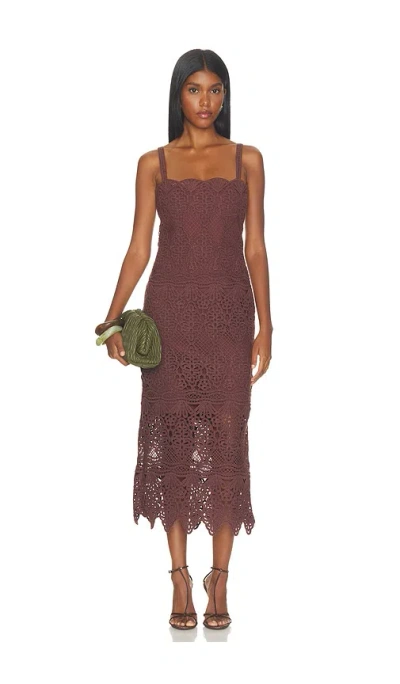 Alexis Ravello  ドレス In Brown