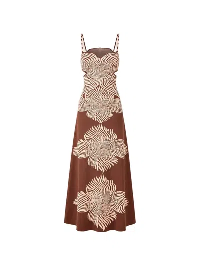 Alexis Rayana Graphic-print Maxi Dress In Brown