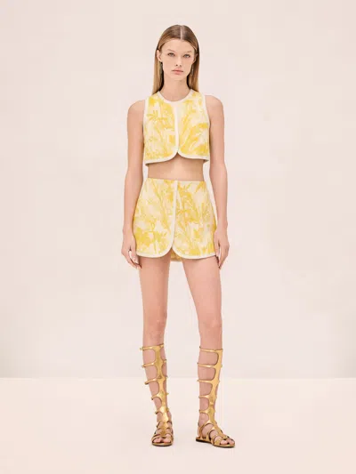 Alexis Rayen Skort In Yellow