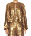 Alexis Reis Sequin Long Sleeve Top In Bronze In Multi