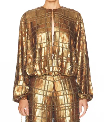 Alexis Reis Sequin Long Sleeve Top In Bronze In Multi