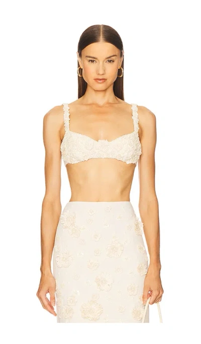 ALEXIS REMI TOP