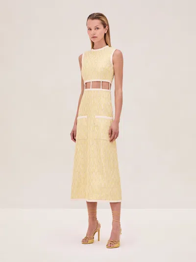 Alexis Renee Dress In Gold