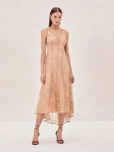 Alexis Rhiane Dress In Fawn