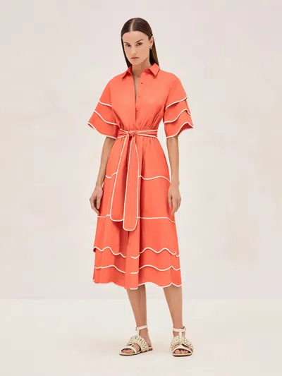 Alexis Rhodes Dress In Orange