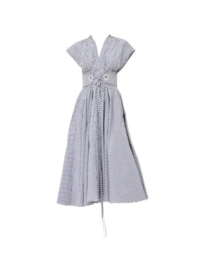 Alexis Riviera Gingham-pattern Midi Dress In Blue