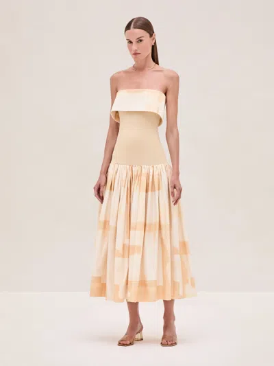Alexis Robia Dress In Beige Brushstroke