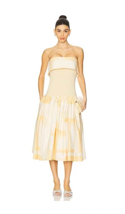 Alexis Robia Dress In Beige Brushstroke