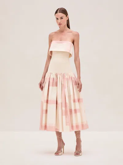 Alexis Robia Dress In Pink Brushstroke