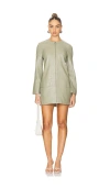 Alexis Rossie Dress In Sage