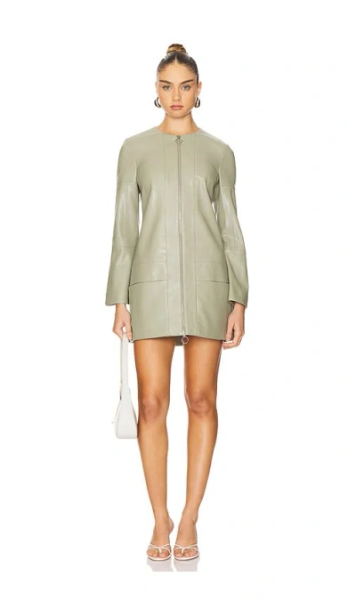 Alexis Rossie Dress In Sage