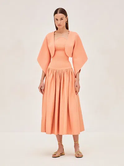 Alexis Russie Capelet In Orange