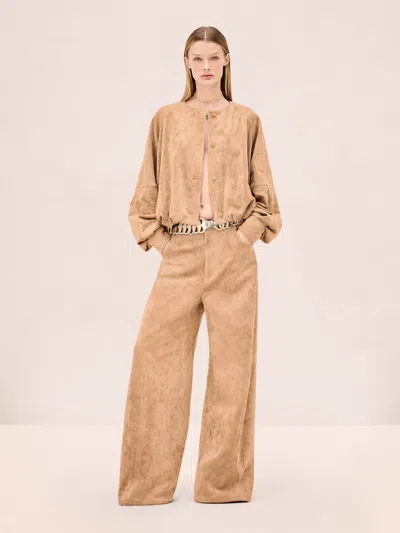 Alexis Rustikan Pant In Brown