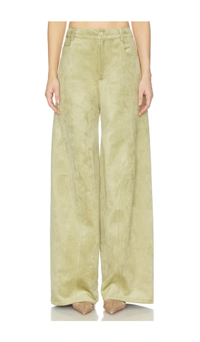 Alexis Rustikan Pant In Green
