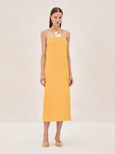 Alexis Sezane Dress In Gold
