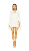 Alexis Taessa Dress